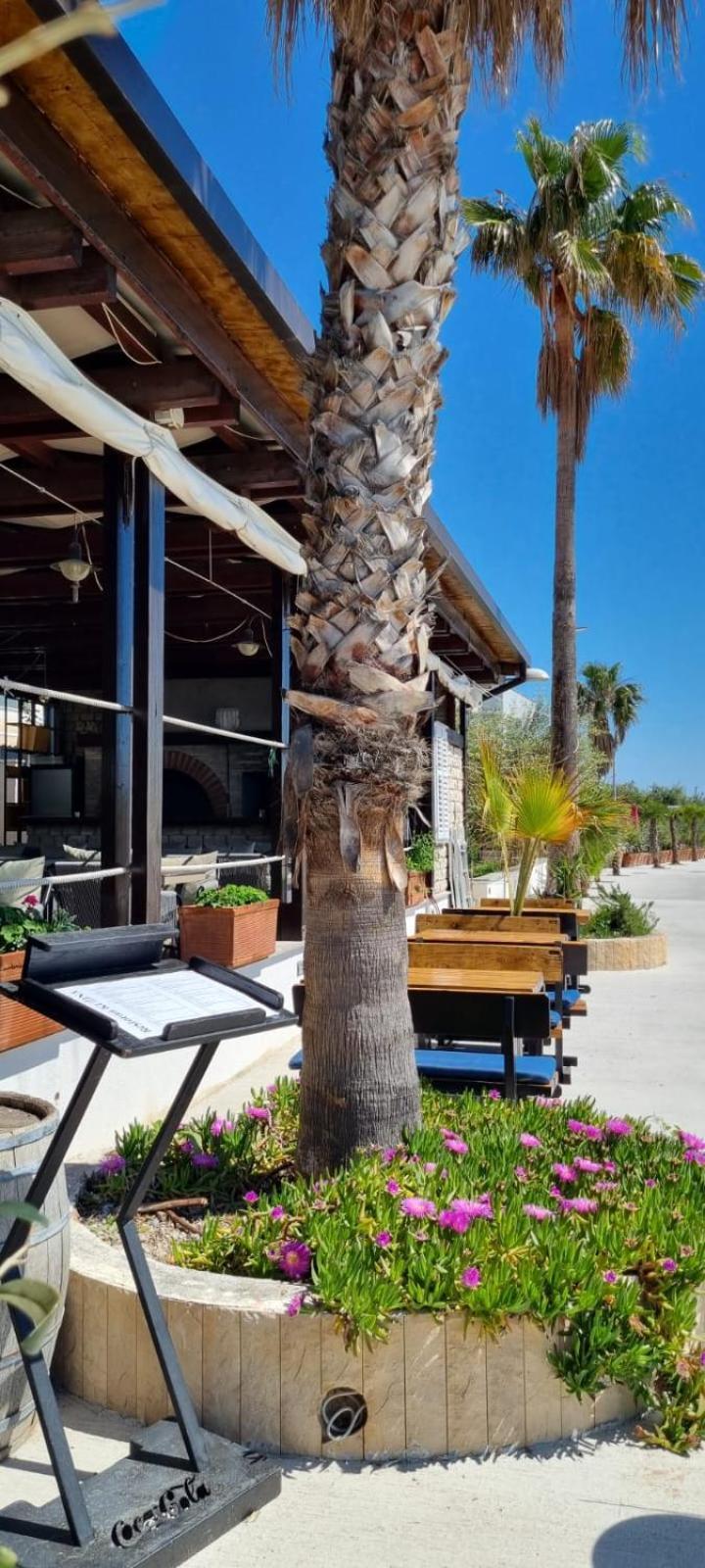 Hotel San Antonio Podstrana Ngoại thất bức ảnh